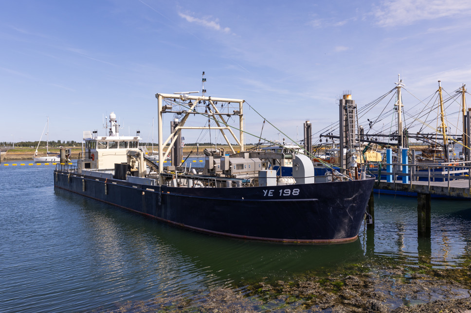 Summio Parc Aquadelta Zeeland - Sirjansland visuel 100/584