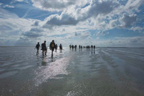 Summio Villapark Schildmeer Groningen - Steendam visuel 147/255 Summio Villapark Schildmeer Groningen - Steendam visuel 147/255