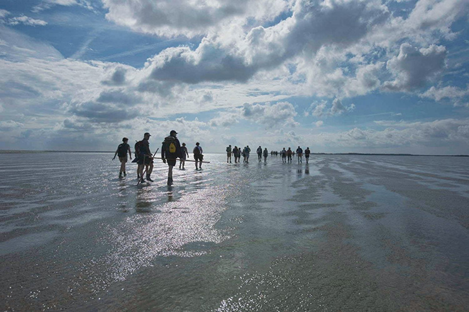 Summio Villapark Schildmeer Groningen - Steendam visuel 155/255 Summio Villapark Schildmeer Groningen - Steendam visuel 155/255