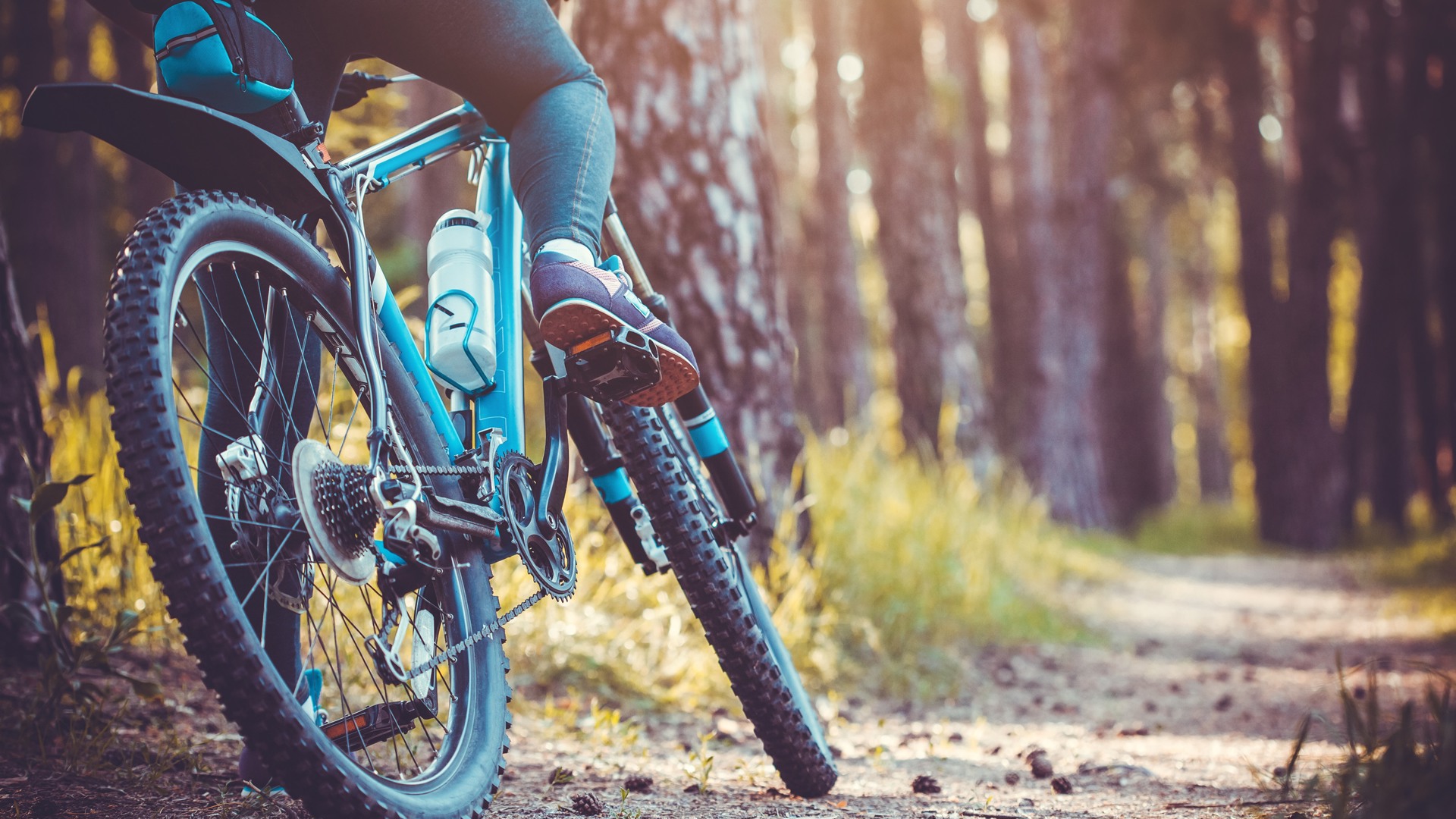 Actieve vakantie in de natuur