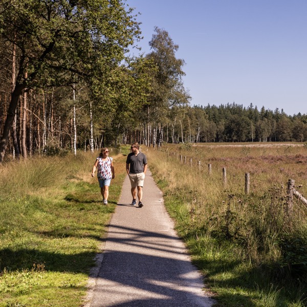 Wandelen in de omgeving van Summio Parc Duc de Brabant
