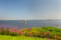 Summio Havenresort Terherne Friesland - Vegelinsoord visuel 67/428 Summio Havenresort Terherne Friesland - Vegelinsoord visuel 67/428