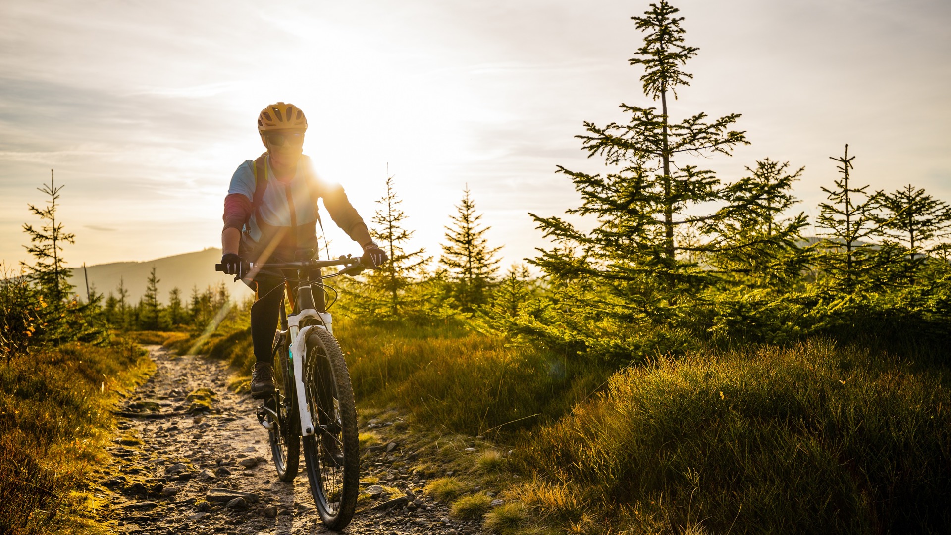 Eifel Rad bike hire at our resort