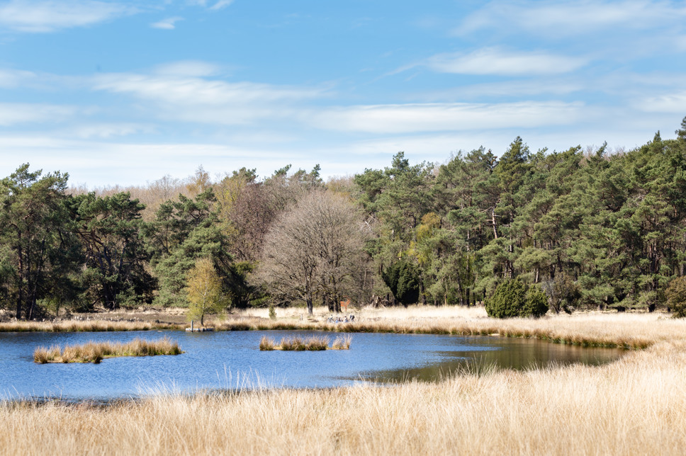 Summio Buitenplaats de Marke van Ruinen Drenthe - Stuifzand visuel 88/440 Summio Buitenplaats de Marke van Ruinen Drenthe - Stuifzand visuel 88/440