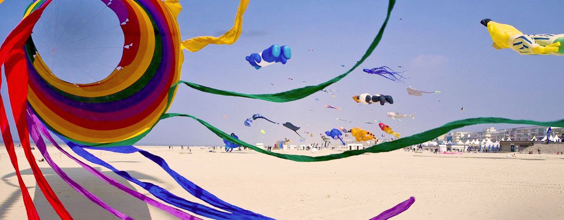 Bewundern Sie das International Kite Festival 
in Berck-sur-Mer!