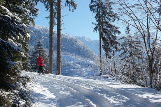 Langlaufen in Dachstein-West tijdens je vakantie in Oostenrijk