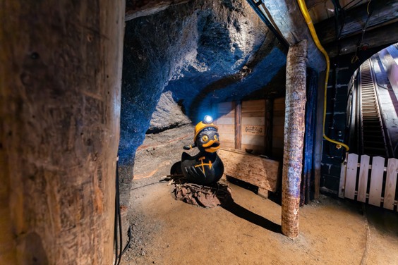 Go down deep into the salt mine with the whole family, guided by the duck Sally.
