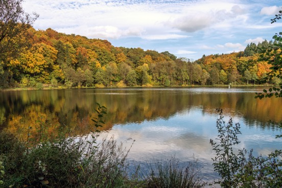 Enjoy the stunning flora and fauna in Eifel National Park