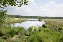Summio Buitenplaats de Hildenberg Friesland - Willemstad visuel 172/526 Summio Buitenplaats de Hildenberg Friesland - Willemstad visuel 172/526
