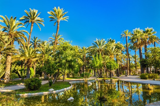 Tip 1: Elche, the peculiar city of palm trees