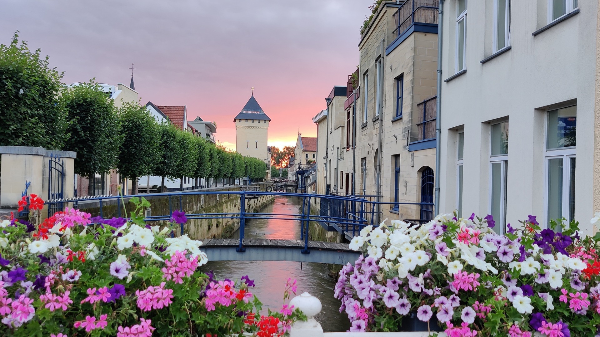 Explore the beautiful surroundings of Maastricht!