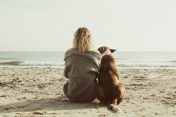 Op het strand met een hond tijdens de vakantie aan de Zeeuwse kust