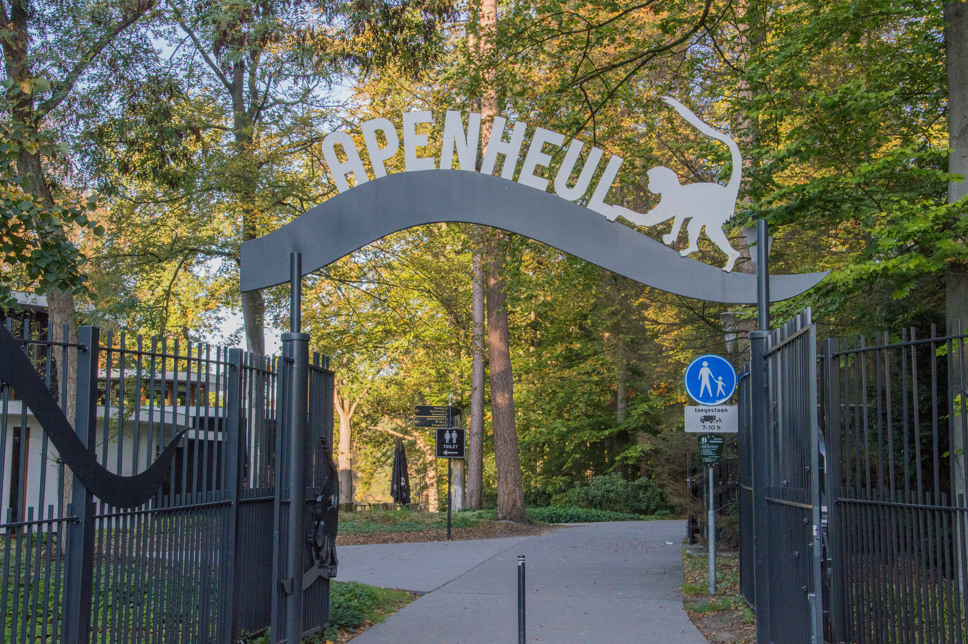 Summio Parc De Berkenhorst Gelderland - Wekerom visuel 140/486 Summio Parc De Berkenhorst Gelderland - Wekerom visuel 140/486