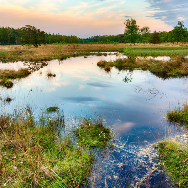 Summio Landgoed Het Grote Zand Drenthe - Westerbork visuel 46/584 Summio Landgoed Het Grote Zand Drenthe - Westerbork visuel 46/584