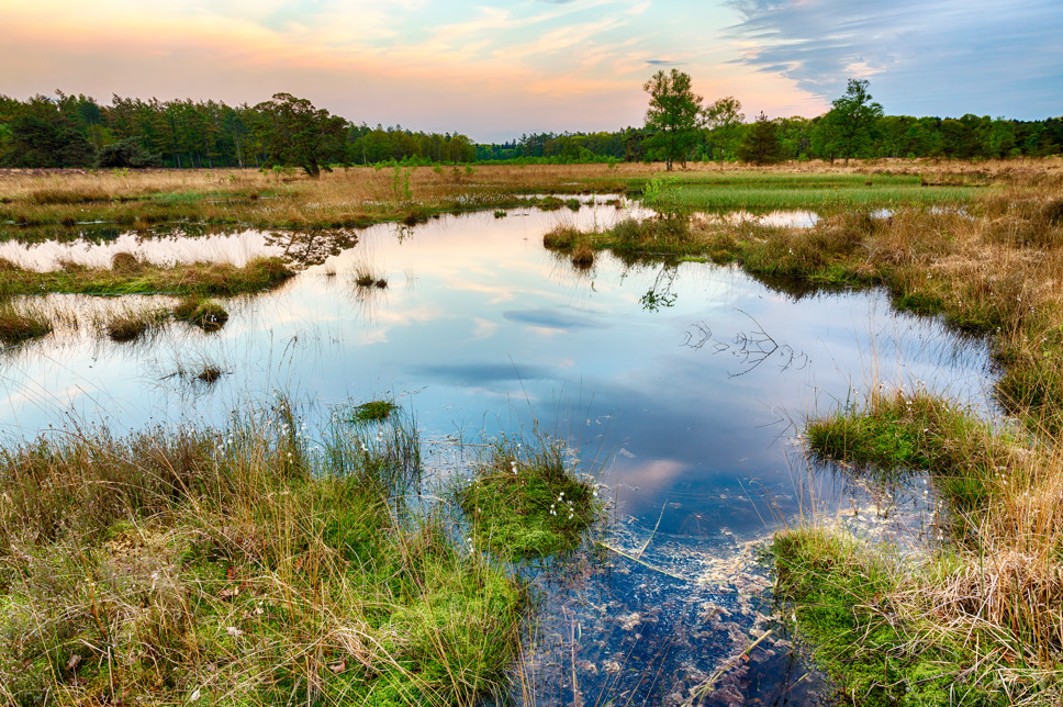 Summio Landgoed Het Grote Zand Drenthe - Westerbork visuel 80/584 Summio Landgoed Het Grote Zand Drenthe - Westerbork visuel 80/584
