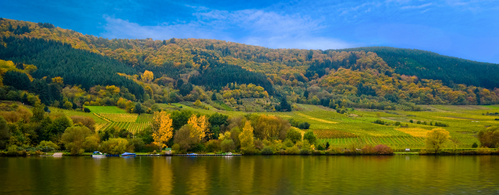 Genießen Sie die Natur im Nationalpark Eifel, 
direkt neben dem Dormio Resort Eifeler Tor