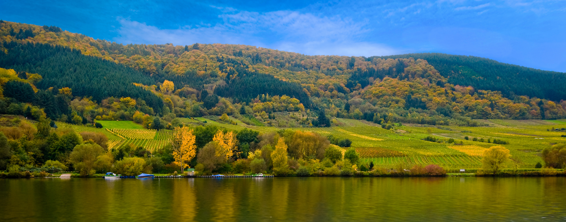 Geniet van de natuur in het Nationaal Park Eifel,
direct naast Dormio Resort Eifeler Tor