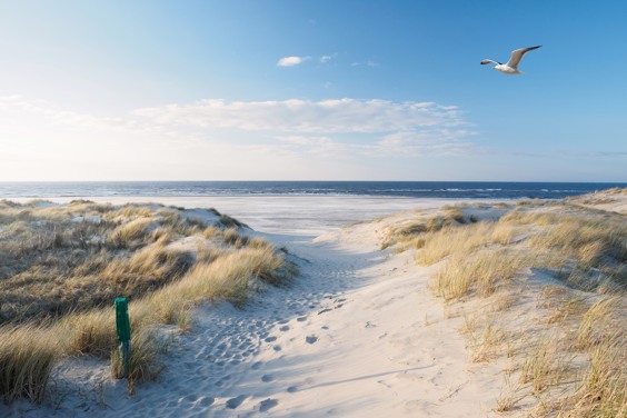 Luxuriöser Strandurlaub in den Niederlanden