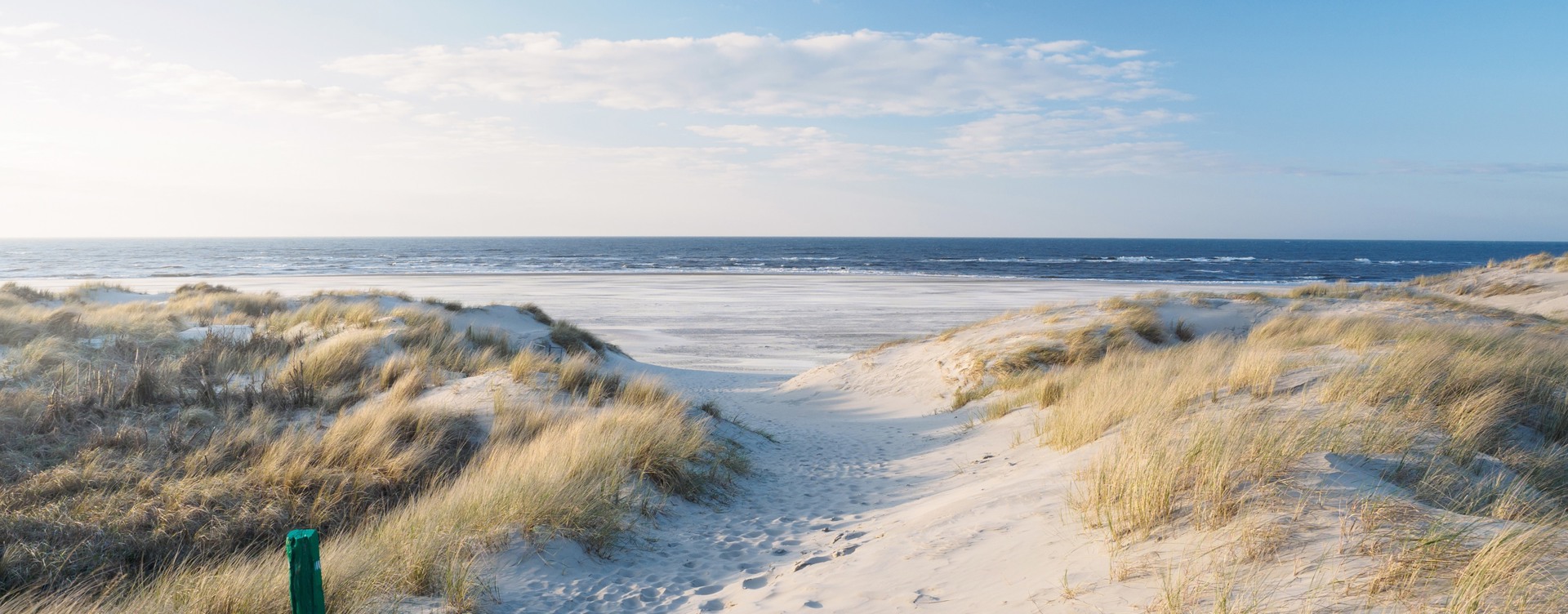 Experience a wonderful holiday in Zeeland
in beautiful surroundings