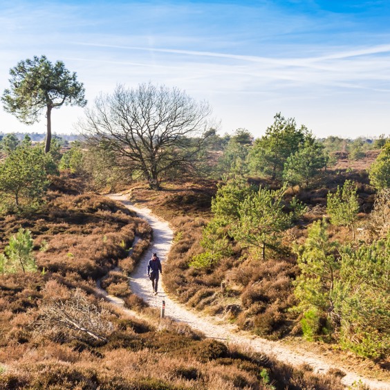 Geniet van de natuur in Nationaal Park Drents-Friese Wold