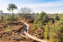 Summio Buitenplaats de Hildenberg Friesland - Willemstad visuel 22/526 Summio Buitenplaats de Hildenberg Friesland - Willemstad visuel 22/526