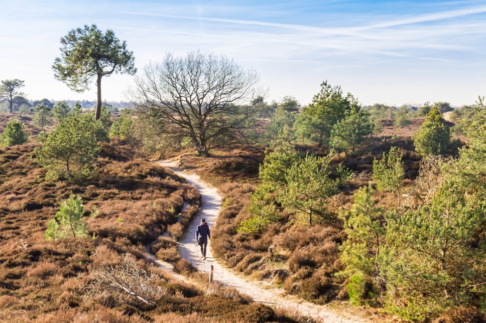 Summio Buitenplaats de Hildenberg Friesland - Willemstad visuel 28/526 Summio Buitenplaats de Hildenberg Friesland - Willemstad visuel 28/526