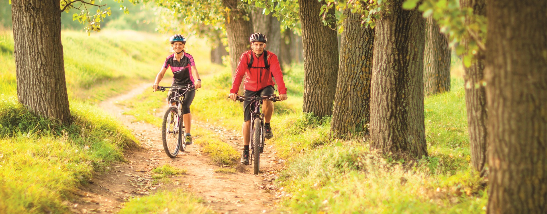 Explore the beautiful Limburg hills by bicycle