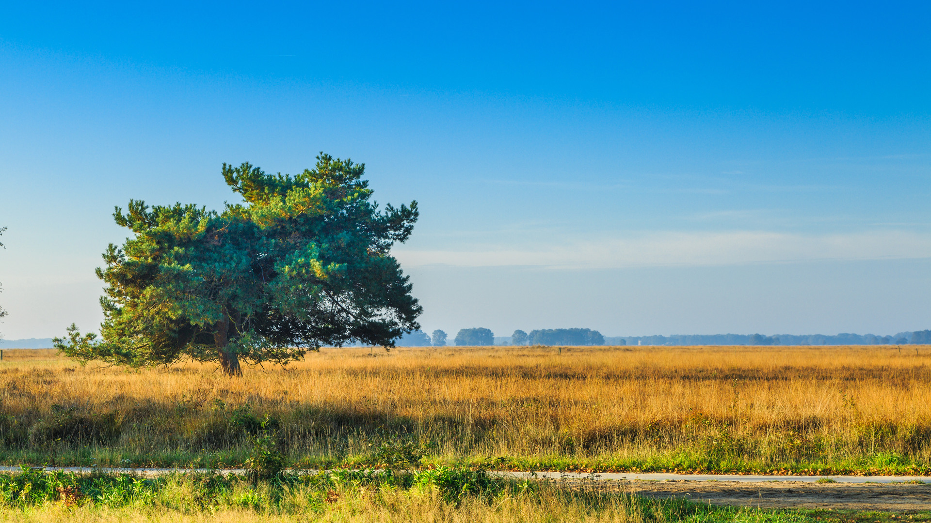 Summio Villaparc Schoonhovenseland Drenthe - Stuifzand visuel 36/200 Summio Villaparc Schoonhovenseland Drenthe - Stuifzand visuel 36/200