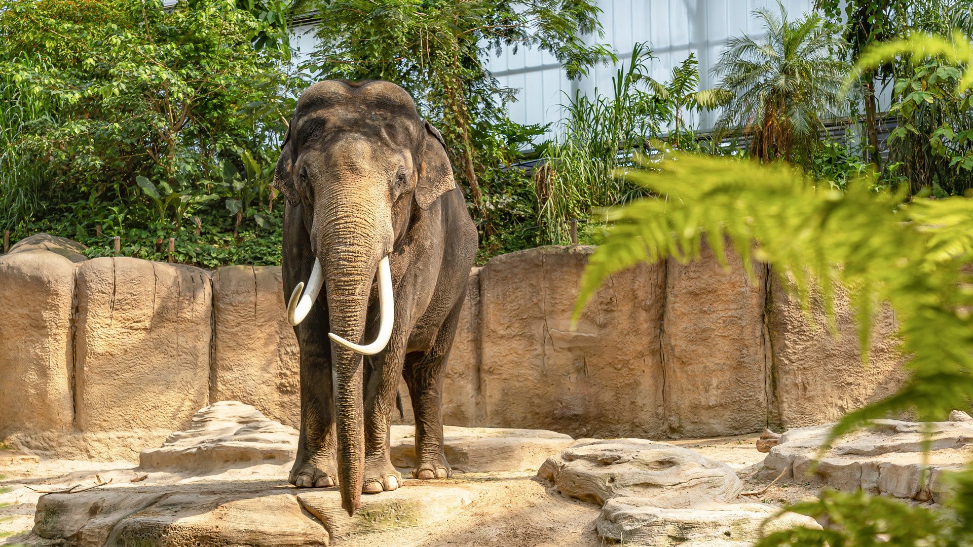 Summio Villaparc Schoonhovenseland Drenthe - Stuifzand visuel 28/200 Summio Villaparc Schoonhovenseland Drenthe - Stuifzand visuel 28/200