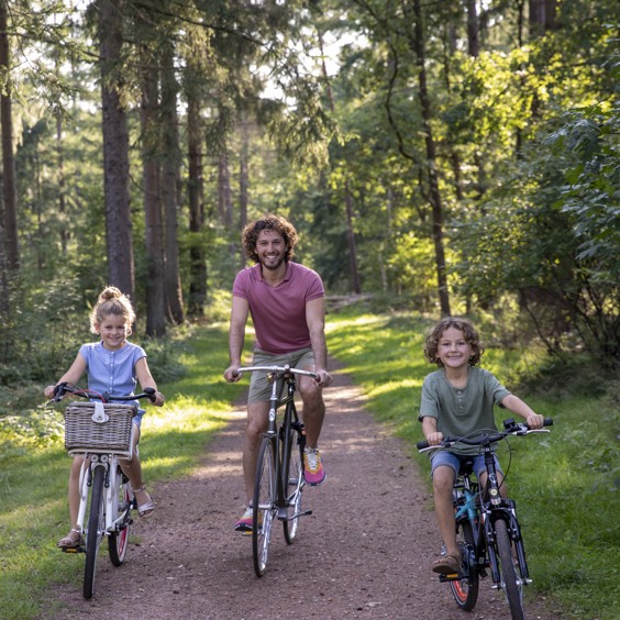 Ontdek de omgeving van Kootwijk per fiets