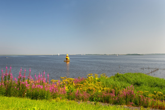 Vaar vanuit uw eigen vakantiewoning naar het Lauwersmeergebied in Friesland