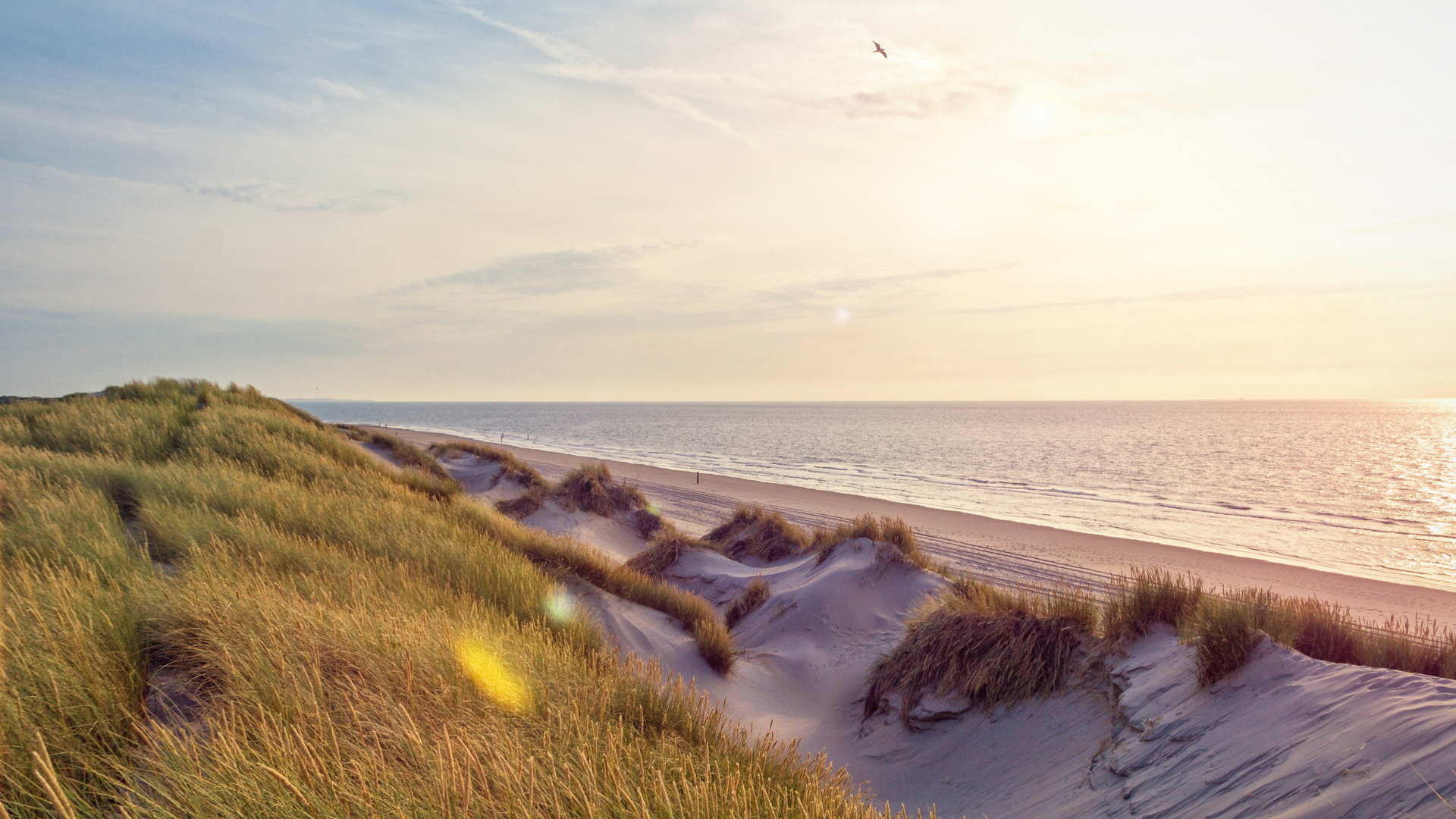 Bezoek de schoonste stranden van Nederland tijdens je verblijf op ons luxe vakantiepark in Nieuwvliet-Bad
