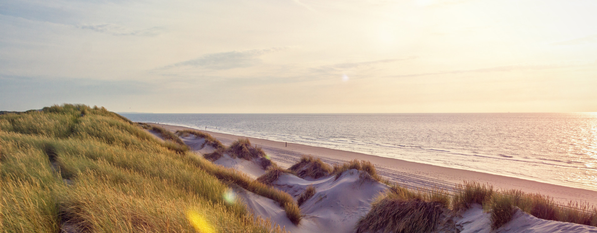 Make your holiday on the Zeeland coast an unforgettable one
with the best day trips