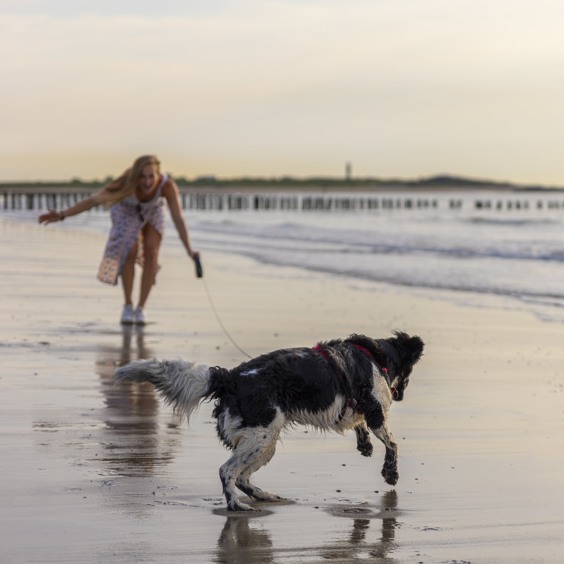 Tijdens je vakantie met hond bij Summio Parcs uitwaaien aan het strand