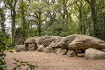 Summio Buitenplaats de Marke van Ruinen Drenthe - Stuifzand visuel 83/440 Summio Buitenplaats de Marke van Ruinen Drenthe - Stuifzand visuel 83/440