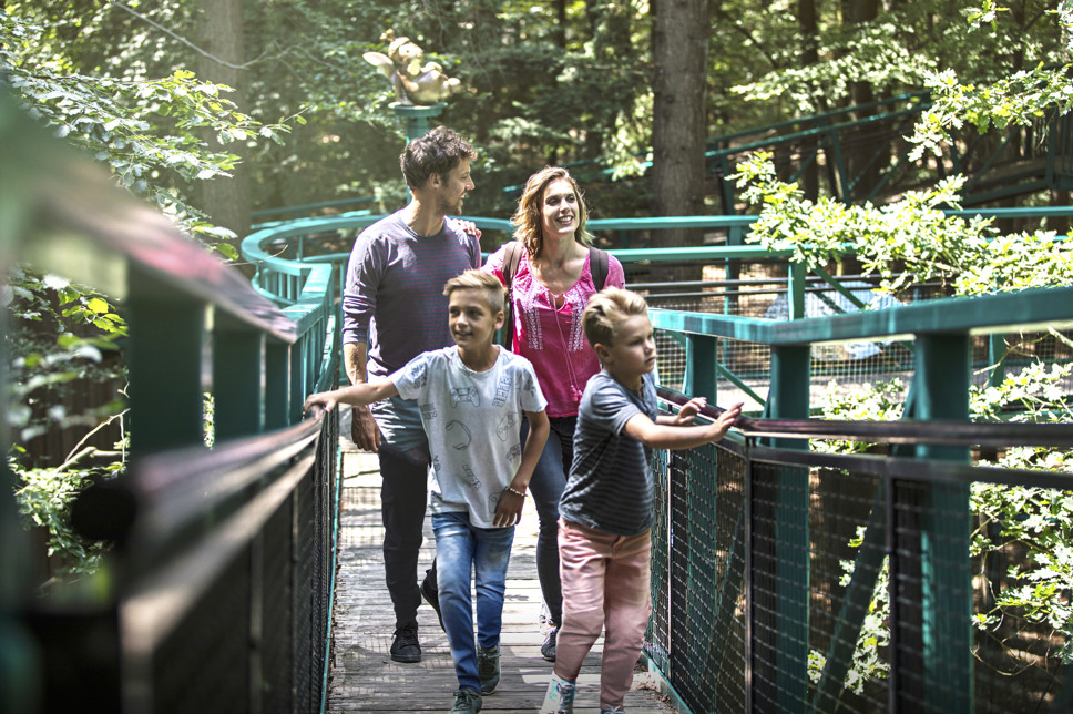 Summio Landgoed Het Grote Zand Drenthe - Westerbork visuel 63/584 Summio Landgoed Het Grote Zand Drenthe - Westerbork visuel 63/584