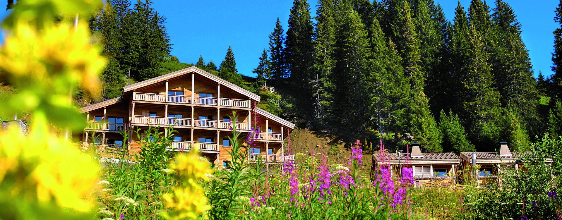 Enjoy a wonderful holiday in the French Alps