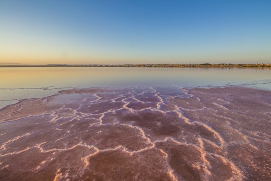 Roze lagune, Torrevieja