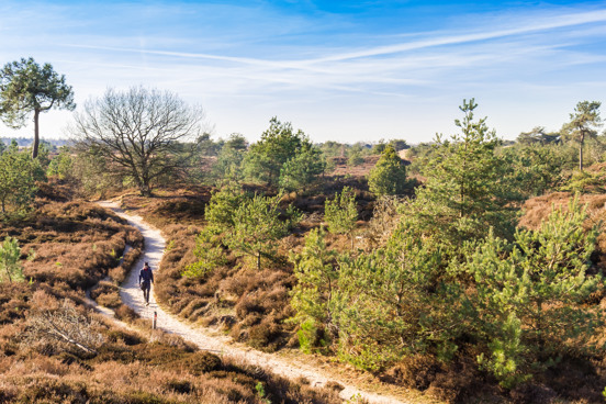 Explore the unspoilt nature in the Drents-Friese Wold National Park