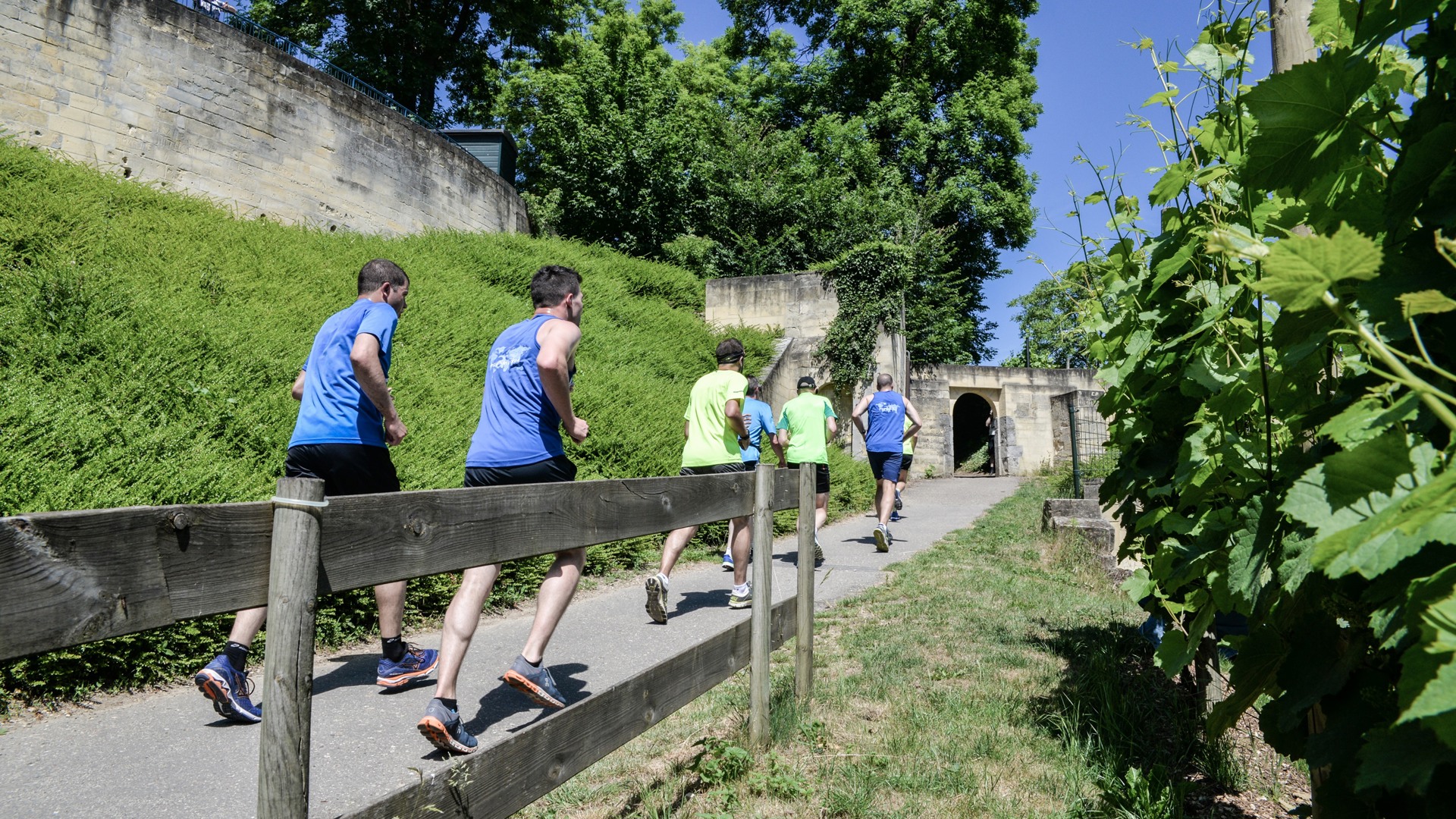 Wandelen en hardlopen tijdens Maastrichts Mooiste