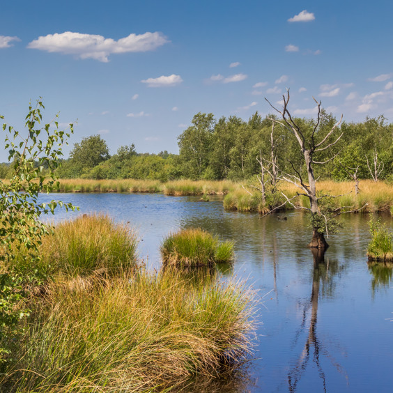 Ruhe, Weite und schöne Natur in Drenthe