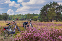 Summio Parc De Berkenhorst Gelderland - Wekerom visuel 158/486 Summio Parc De Berkenhorst Gelderland - Wekerom visuel 158/486