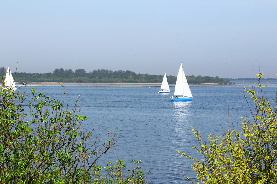 Summio Parc Aquadelta Zeeland - Sirjansland visuel 96/584