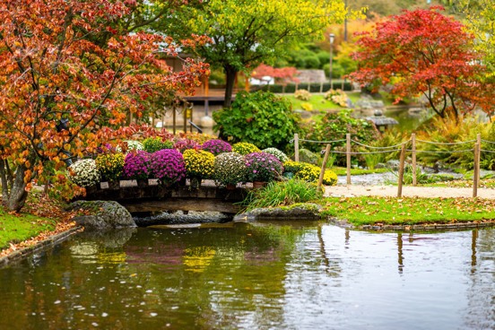 Visit the Japanese Garden in Hasselt