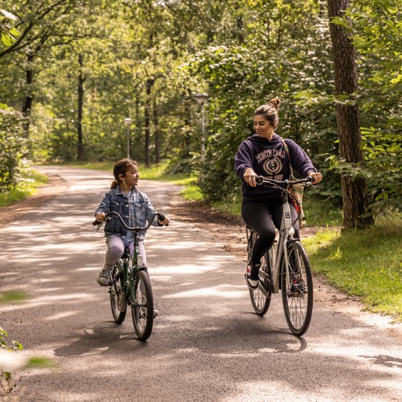Verken de omgeving met de fiets op de Veluwe