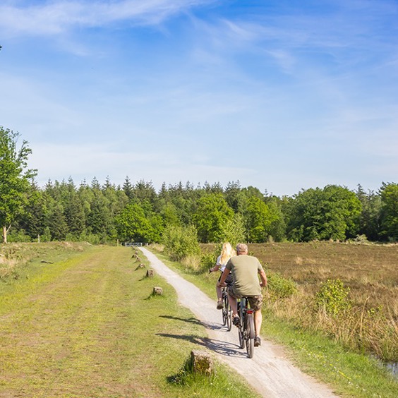 Wandel- en fietsplezier in natuurgebied het Kootwijkerzand