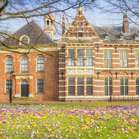 Warum sollten Sie einen Ferienpark in Drenthe wählen?