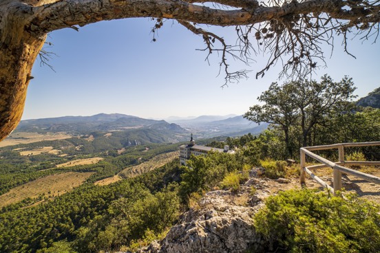 Discover the oasis of peace of the Carrascal de la Font Toja Natural Park (10 km)