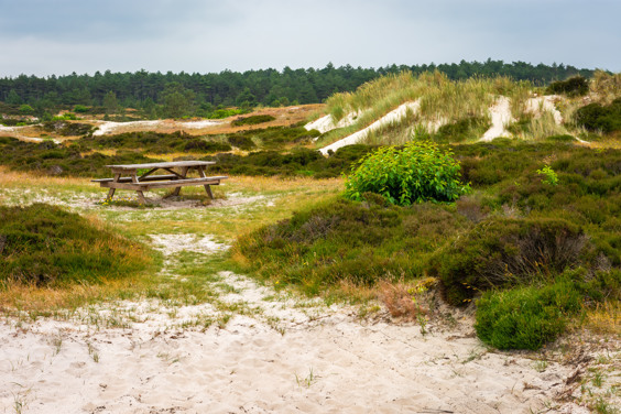 Lujoso parque vacacional en primera línea de playa en la Punta de Holanda Septentrional