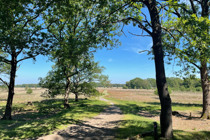 Summio Villaparc Schoonhovenseland Drenthe - Stuifzand visuel 147/200 Summio Villaparc Schoonhovenseland Drenthe - Stuifzand visuel 147/200